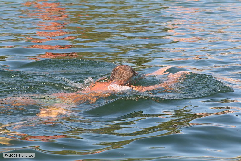 image141.jpg