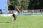 Thumbnail of image127.jpg