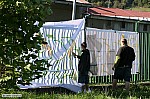 Thumbnail of image137.jpg