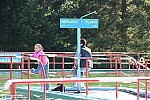 Thumbnail of image149.jpg