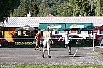 Thumbnail of image197.jpg