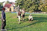 Thumbnail of image212.jpg