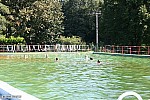 Thumbnail of image74.jpg
