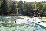Thumbnail of image76.jpg